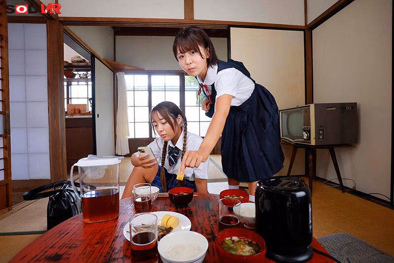 【VR】【8K】催ミンミンゼミで生意気姉妹を完全支配 プレビュー画像 1