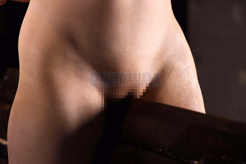 縛り拷問覚醒 狙われた美人令嬢 小花のん プレビュー画像 3