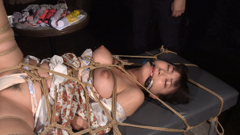 囚われの緊縛令嬢 DIDコレクション3 プレビュー画像 12