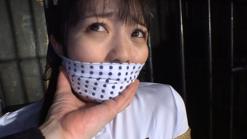 囚われの緊縛令嬢 DIDコレクション3 プレビュー画像 1