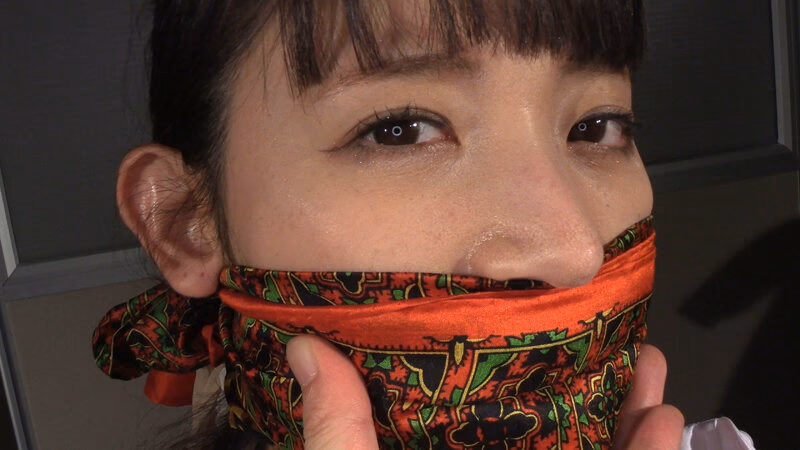 囚われの緊縛令嬢 DIDコレクション3 プレビュー画像 18